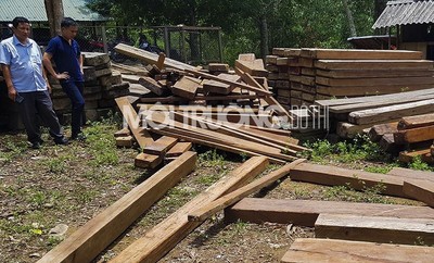 Quảng Bình: Phát hiện kho gỗ quý cất giấu trong trụ sở ủy ban xã