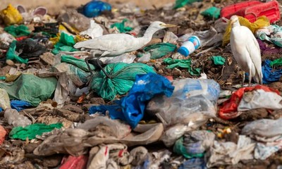 Nghị viện châu Âu thông qua lệnh cấm đồ nhựa dùng một lần