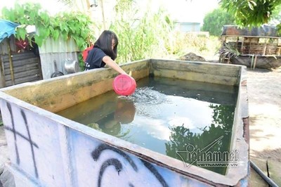 Nhà máy đào hồ đổ nước thải, dân lấp giếng khát nước ăn ở Đồng Nai