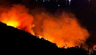 Đà Nẵng: Cháy 5.000m2 rừng trên bán đảo Sơn Trà