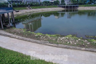 Hà Nội tìm phương án cấp nước cho hồ điều hòa Thanh Xuân