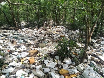 Hải Phòng: Rác thải bủa vây rừng phòng hộ Tiên Lãng