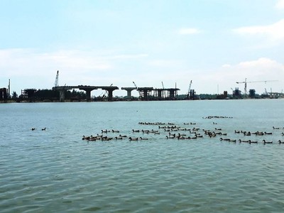 Hội Nghề cá Quảng Ngãi lên tiếng về ĐTM đập dâng sông Trà Khúc