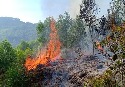 Nghệ An: Liên tiếp xảy ra cháy rừng do nắng nóng gay gắt