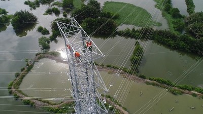 TP.HCM: Đóng điện đường dây 220kV Nam Sài Gòn - quận 8