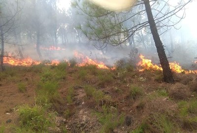 Rừng thông ở Hà Tĩnh cháy đùng đùng, hàng trăm người dập lửa