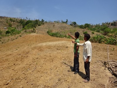 Gia Lai: Công ty Minh Phước gian dối trong dự án trồng rừng - Bài 1
