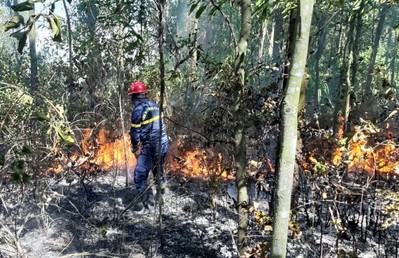 Hàng trăm người được huy động để dập đám cháy rừng ở Đà Nẵng
