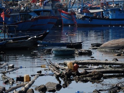 Cấm tàu thuyền vi phạm bảo vệ môi trường xuất bến tại Thọ Quang