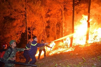 Bùng phát trở lại đám cháy rừng ở Hà Tĩnh
