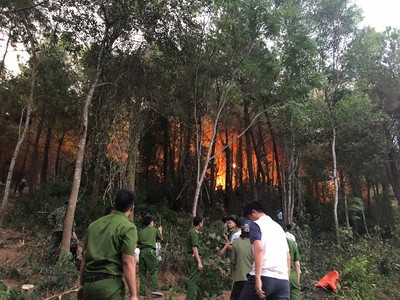 Nắng nóng kỷ lục khiến cháy rừng diễn biến phức tạp ở miền Trung