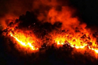 Cháy rừng ở Hà Tĩnh: Hơn 1.000 người căng mình dập lửa trong đêm
