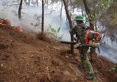 Một người tử vong khi chữa cháy rừng ở Nghệ An