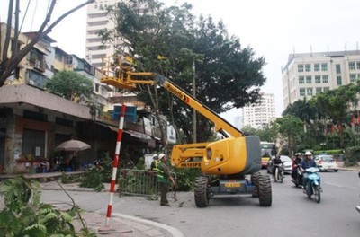 Hà Nội: Thành lập tổ cơ động ứng phó cây xanh gãy đổ do bão số 2