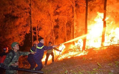 Một tuần xảy ra tới 45 vụ cháy rừng ở miền Trung
