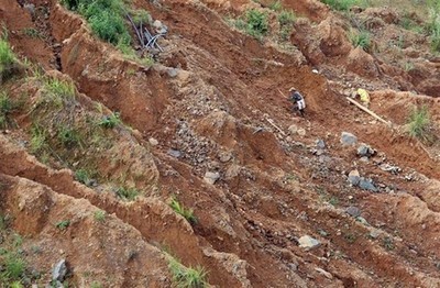 Yên Bái:Người dân đổ xô đi đào vàng sau tin đồn đào được đá quý 5 tỷ