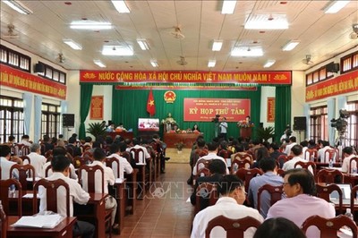 Quản lý, bảo vệ rừng thông làm nóng kỳ họp HĐND tỉnh Đắk Nông