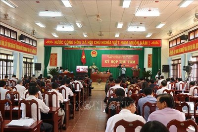 Kỳ họp thứ 8 HĐND tỉnh Đắk Nông: Nóng việc quản lý bảo vệ rừng thông