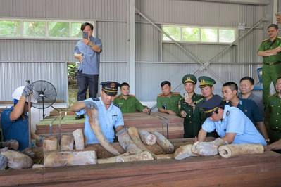 Tội phạm buôn bán động vật hoang dã tại Việt Nam diễn biến phức tạp