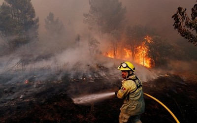 Cháy rừng Bồ Đào Nha: Ít nhất 300 người thương vong