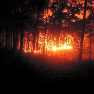 Quảng Trị: Cháy rừng trong đêm, thiêu rụi 5ha rừng