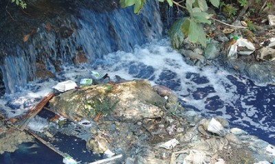 TP.HCM: Giải quyết ô nhiễm suối Cái, suối Nhum và rạch Xuân Trường