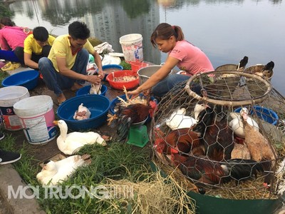 Hà Nội: Khuôn viên Hồ Đền Lừ biến thành chợ cóc