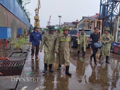 Phó Thủ tướng kiểm tra công tác phòng chống bão ở Quảng Ninh