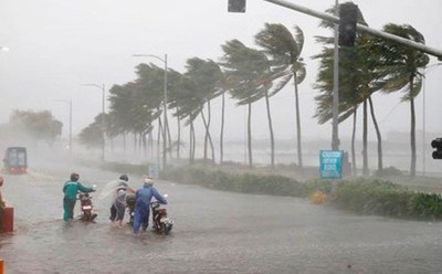 Chiều 2/8, bão số 3 giật cấp 12 sẽ đổ bộ vào vùng biển Quảng Ninh