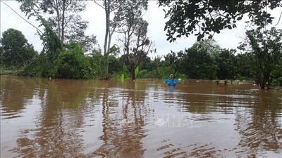 Đồng Nai di dời 1.200 hộ dân sống ven sông do lũ lên cao