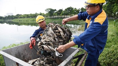 Cá chết hàng loạt tại hồ công viên Yên Sở