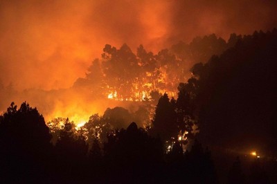 Cháy rừng nghiêm trọng, Tây Ban Nha sơ tán 8.000 người