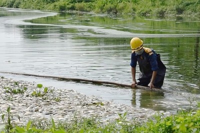 Nguyên nhân nào khiến cá chết hàng loạt trên các hồ ở Hà Nội?