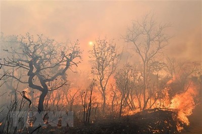 Tổng thống Brazil: Cháy rừng Amazon là 'vấn đề nội bộ' của khu vực