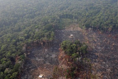 Điều gì sẽ xảy ra khi rừng mưa Amazon bị biến mất?