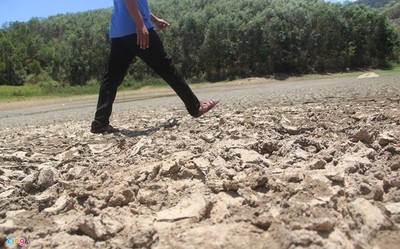 Hơn 1.000 ha lúa chết cháy giữa mùa mưa ở Đắk Lắk