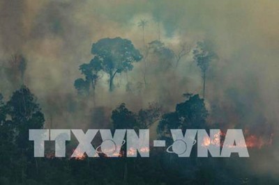 Cháy rừng Amazon tại Brazil tiếp tục lan rộng
