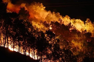 Diện tích rừng bị cháy tăng đột biến so với năm trước