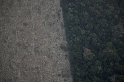 Các nước đưa ra tuyên bố bảo vệ rừng mưa Amazon