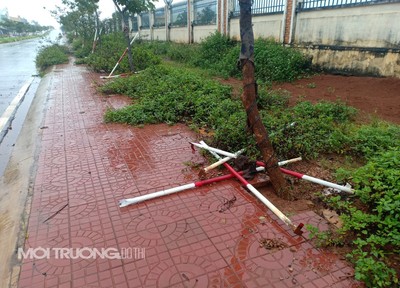 TP Pleiku: Hàng loạt giá đỡ cây xanh bị ngã đổ gây nguy hiểm