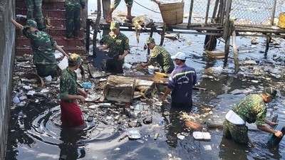 Hơn 8.200 người dân Phú Quốc tham gia dọn vệ sinh, thu gom rác thải