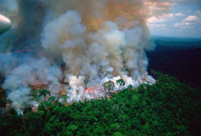 Ô nhiễm không khí gia tăng tại rừng Amazon
