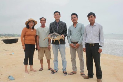 Quảng Trị: Phê duyệt kế hoạch bảo tồn rùa biển giai đoạn 2019-2025