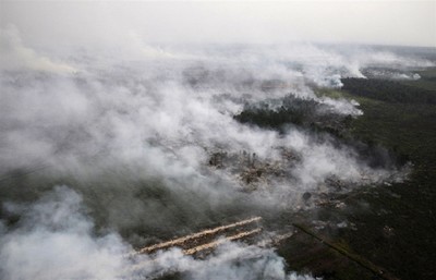 Đông Nam Á ô nhiễm vì cháy rừng ở Indonesia