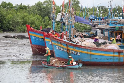 TP Vũng Tàu: Ra quân làm sạch môi trường kênh Bến Đình