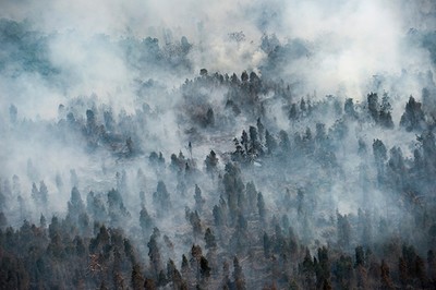 Đông Nam Á ngột ngạt vì khói cháy rừng ở Indonesia