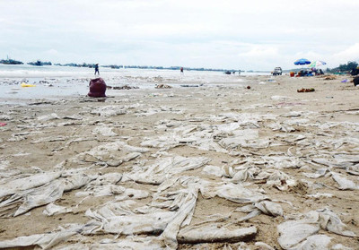 Bãi biển Mũi Né ô nhiễm nghiêm trọng