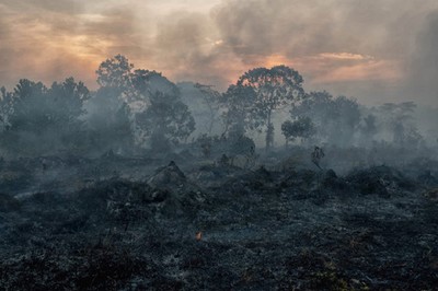 Cháy rừng khiến không khí Indonesia ô nhiễm nhất trong 4 năm qua