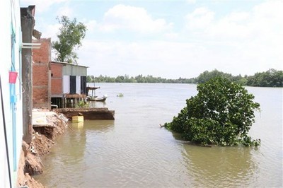 Long An: Công bố tình trạng khẩn cấp khu vực sạt lở bờ sông