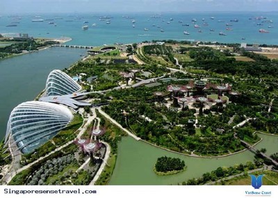Vì sao trồng cây xanh luôn được ưu tiên tại quốc đảo Singapore?